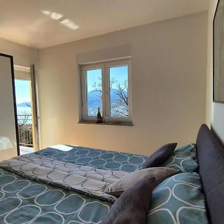 Family מטולי